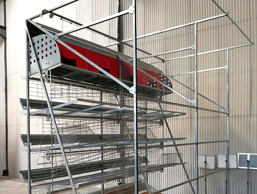 福利種(zhǒng)鸡笼