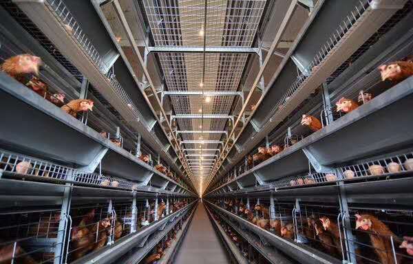 日照工程项目简介