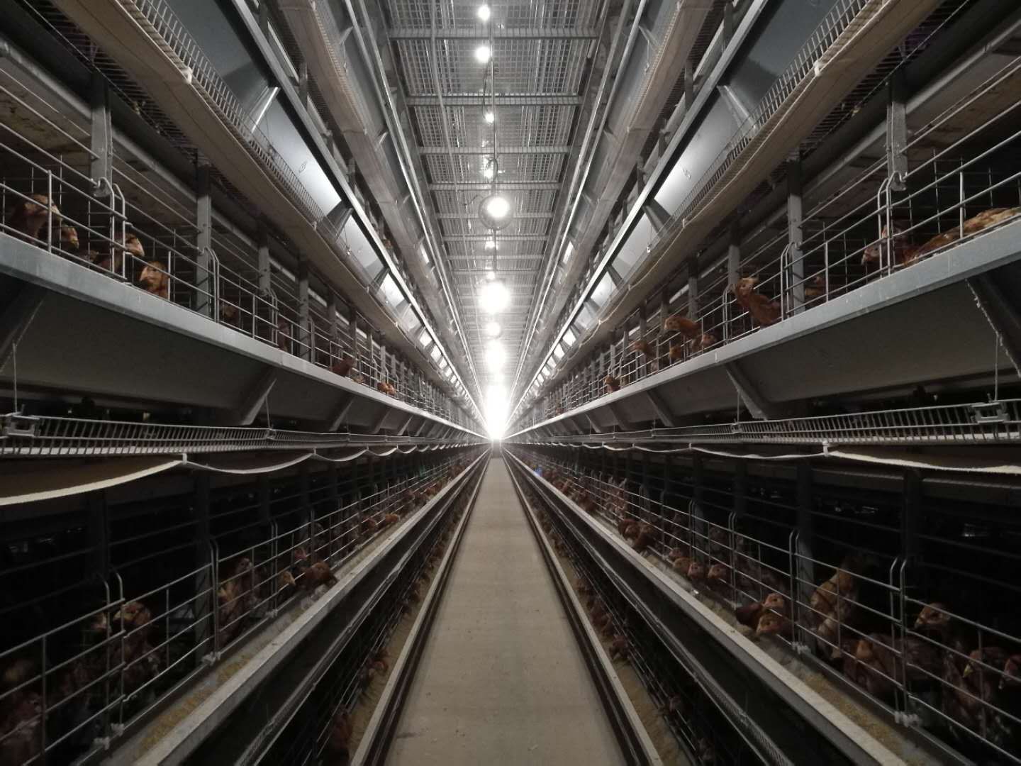 精品工程之山西晉龍